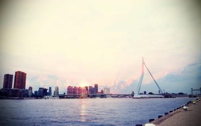 Rotterdam vom Wasser aus entdecken: Ein einzigartiges Erlebnis